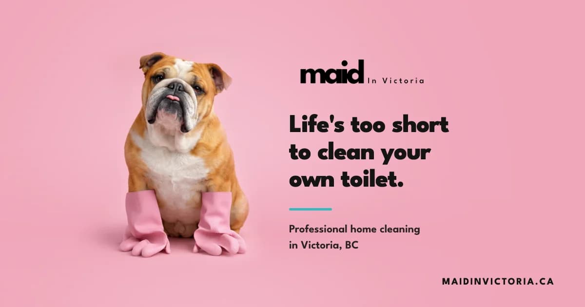 Maid in Victoria: the site's preview image