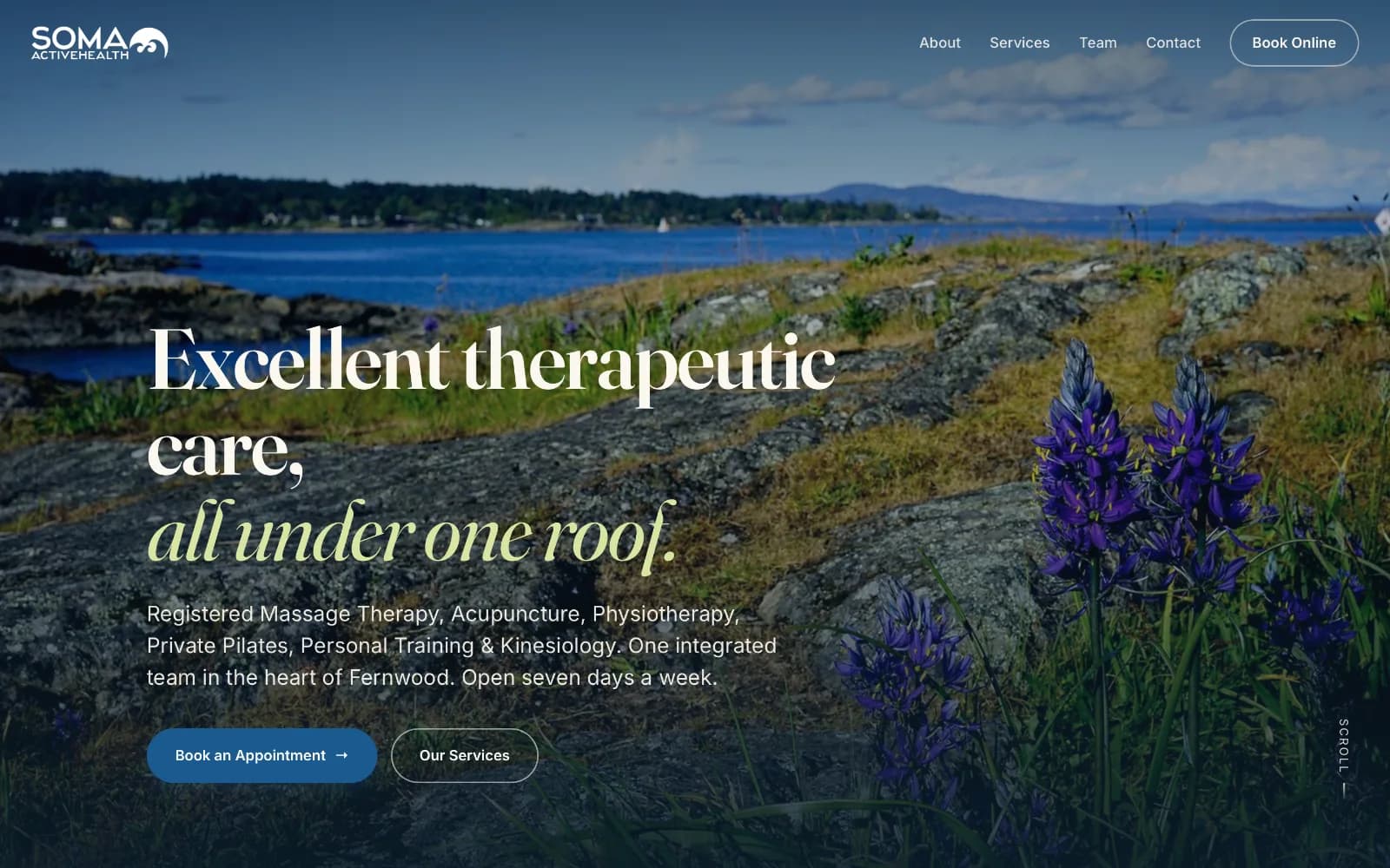Soma Active Health website on desktop
